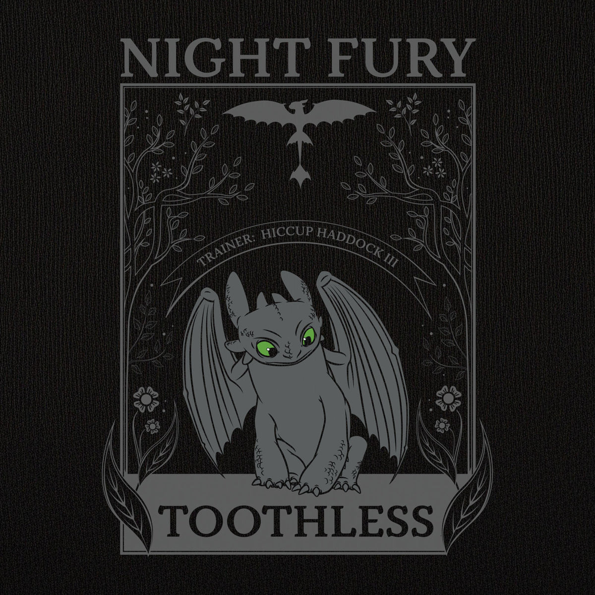 Product image How to Train Your Dragon - Night Fury Women's T-Shirt Black