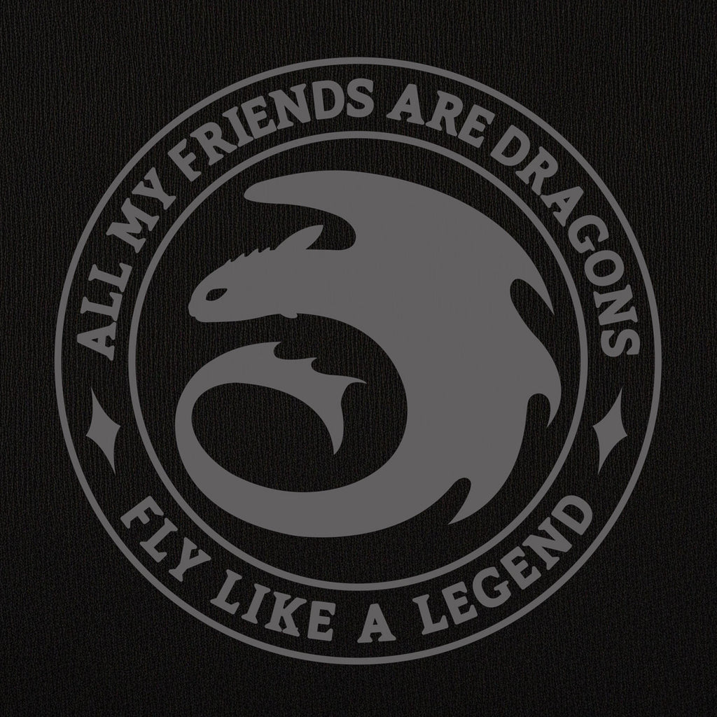 Produktbild Drachenzähmen leicht gemacht - Night Fury Legend Hoodie schwarz