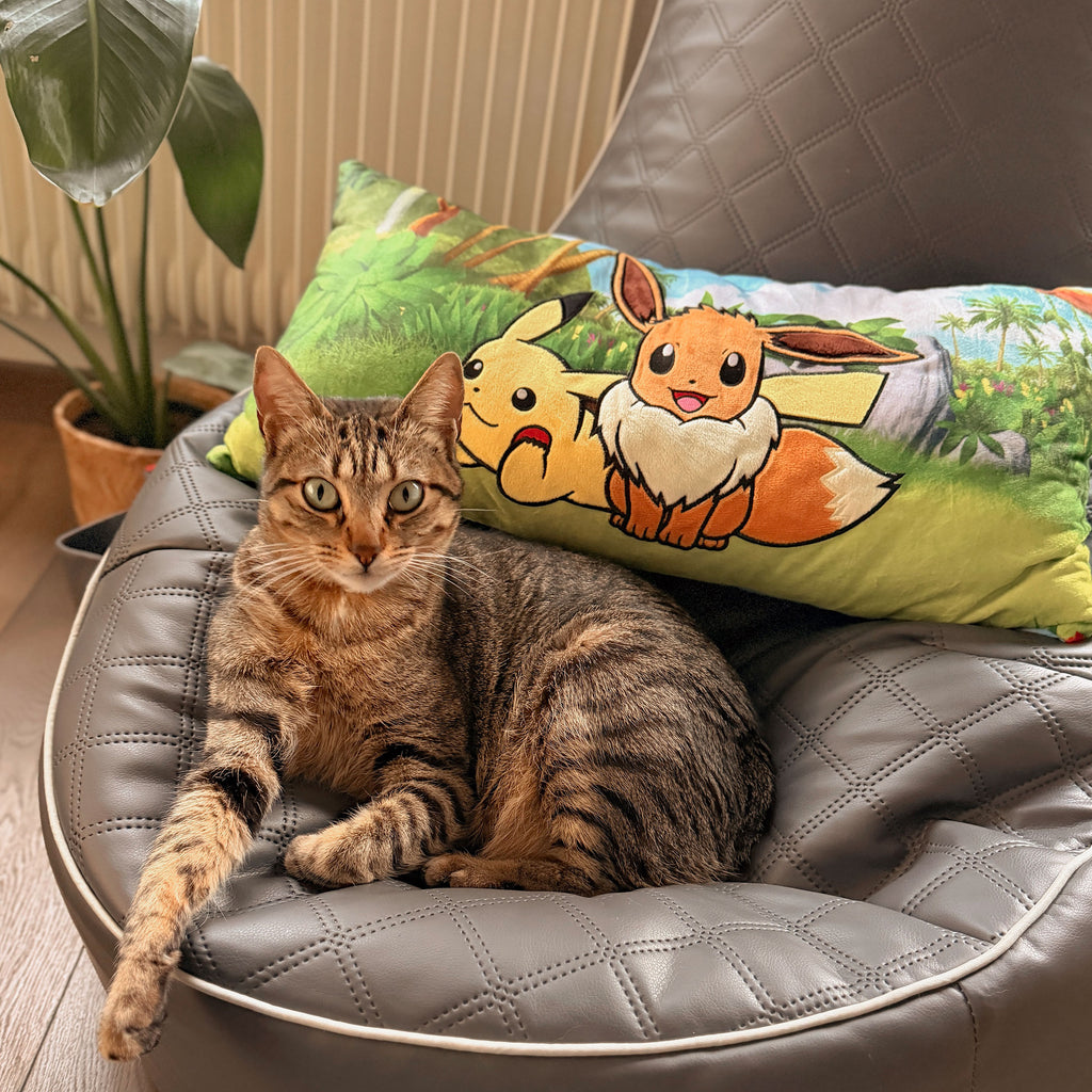 Productafbeelding Pokémon - Kussen Pikachu en Eevee