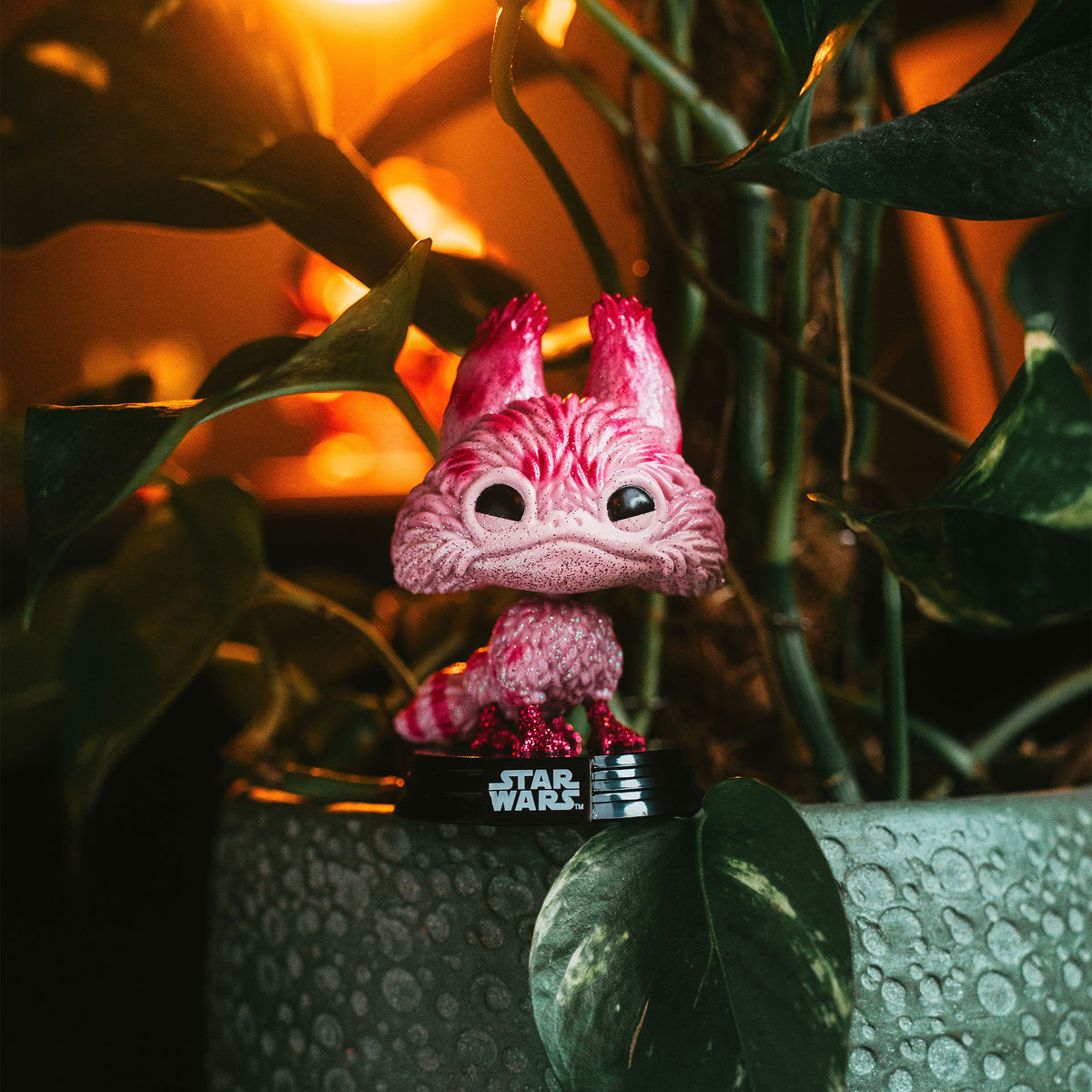 Image produit Star Wars - Loth Cat Figurine Funko Pop! à tête oscillante - Exclusivité Fall Convention 2025