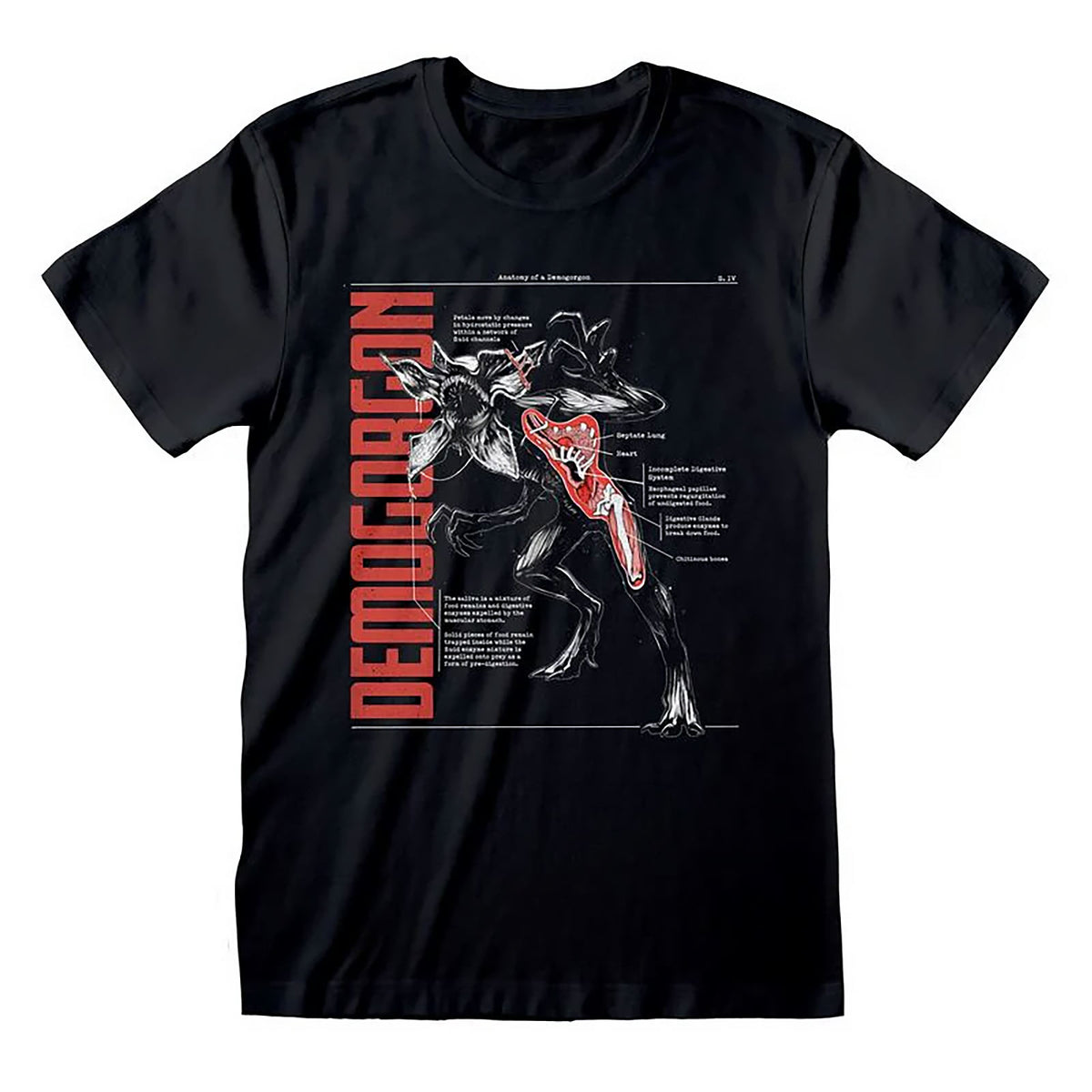 Productafbeelding Stranger Things - T-shirt Anatomie van een Demogorgon