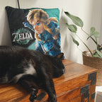 Image produit Coussin Link - Zelda