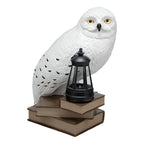 Produktbild Hedwig 3D Solar Lampe - Harry Potter