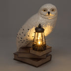 Produktbild Hedwig 3D Solar Lampe - Harry Potter