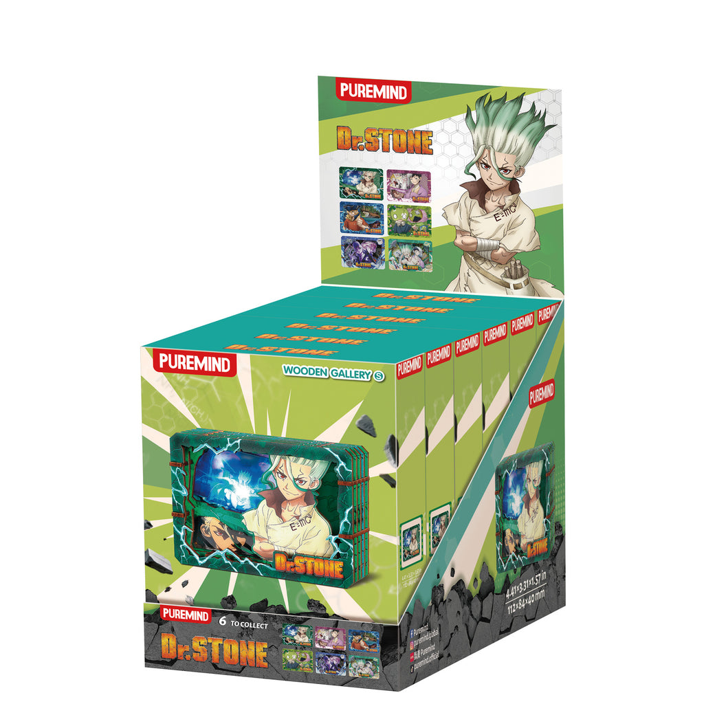 Productafbeelding Dr. Stone - Mystery Mini Houten Wanddecoratie
