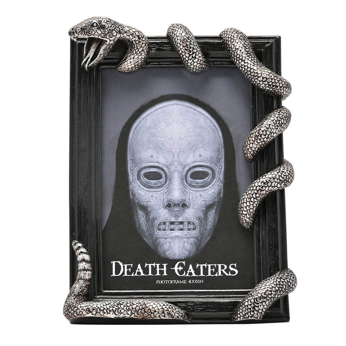 Image produit Harry Potter - Cadre photo Nagini