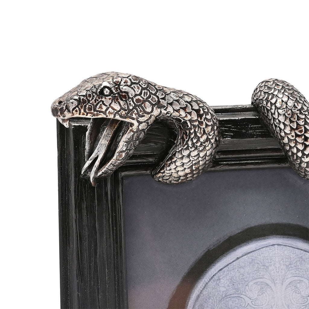 Image produit Harry Potter - Cadre photo Nagini