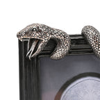 Image produit Harry Potter - Cadre photo Nagini