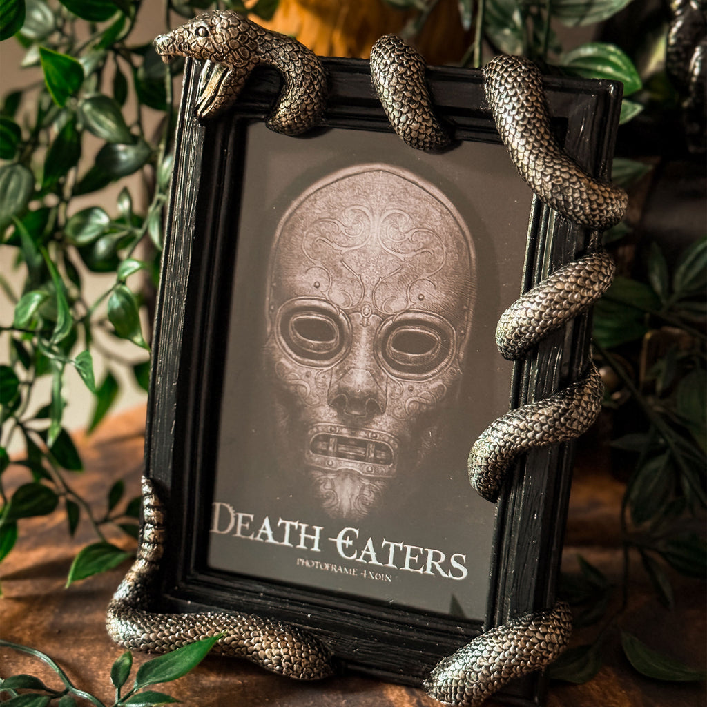 Image produit Harry Potter - Cadre photo Nagini
