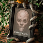 Image produit Harry Potter - Cadre photo Nagini