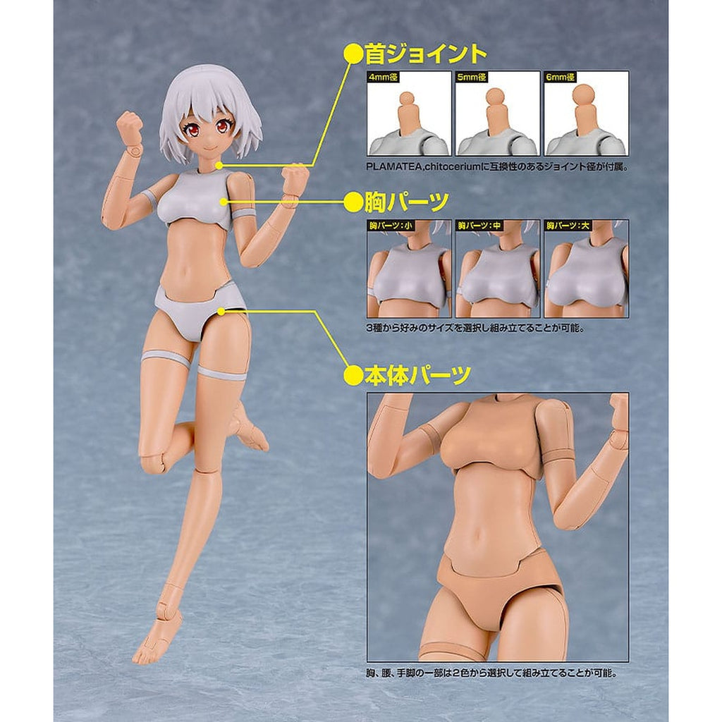 Image produit PLAMATEA Maquette - Muse Body : Ichika Type C