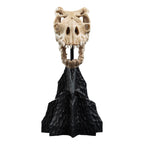 Image produit Le Seigneur des Anneaux - Crâne d’une Bête Ailée Mini Statue