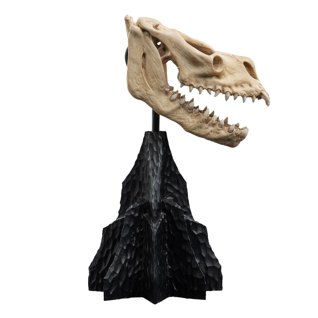 Image produit Le Seigneur des Anneaux - Crâne d’une Bête Ailée Mini Statue