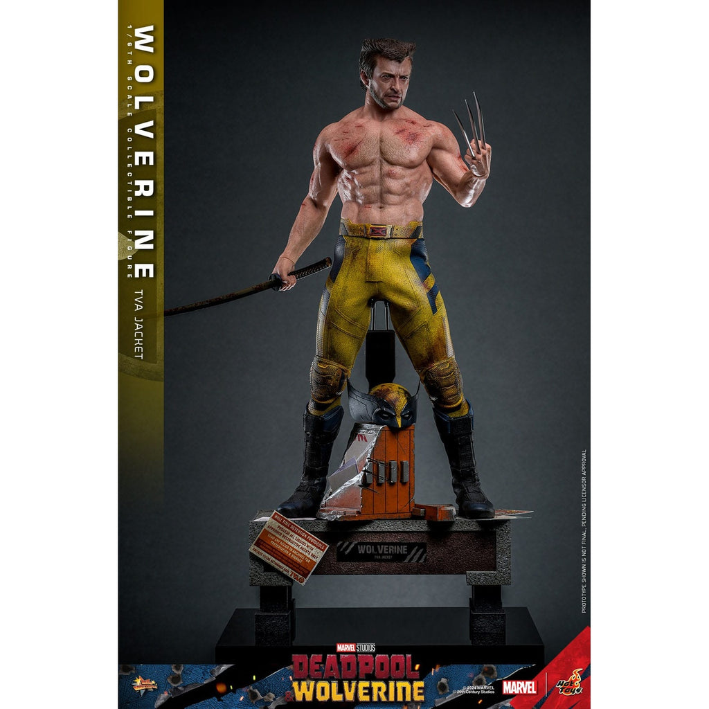 Productafbeelding Deadpool & Wolverine Movie Masterpiece actiefiguur 1/6 Wolverine (TVA Jacket Version) 31 cm