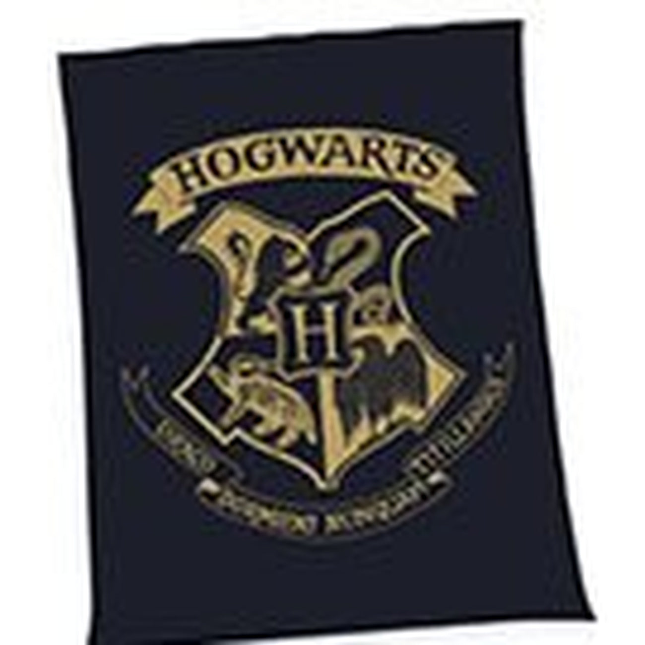 Produktbild Harry Potter Fleecedecke Hogwarts 150 x 200 cm
