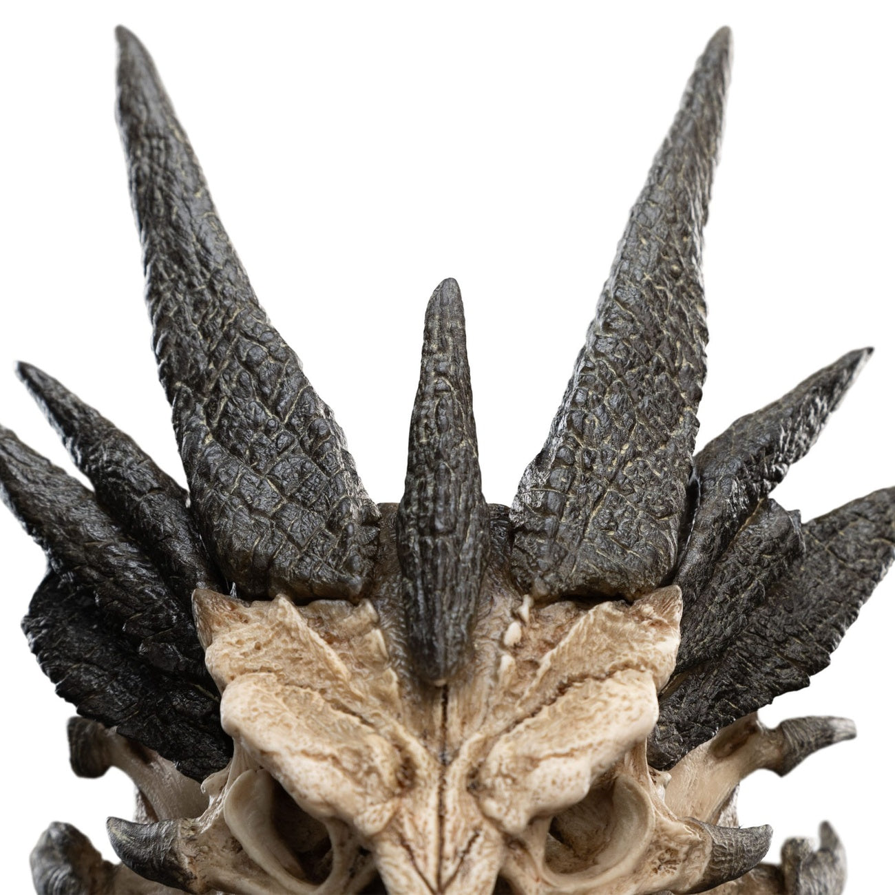 Produktbild Herr der Ringe Mini Statue Skull of Smaug 22 cm