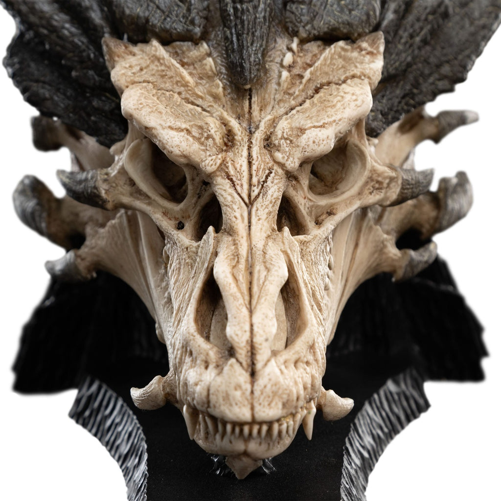 Produktbild Herr der Ringe Mini Statue Skull of Smaug 22 cm