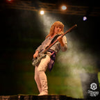 Produktbild Def Leppard Rock Iconz Statue Rick Savage 24 cm