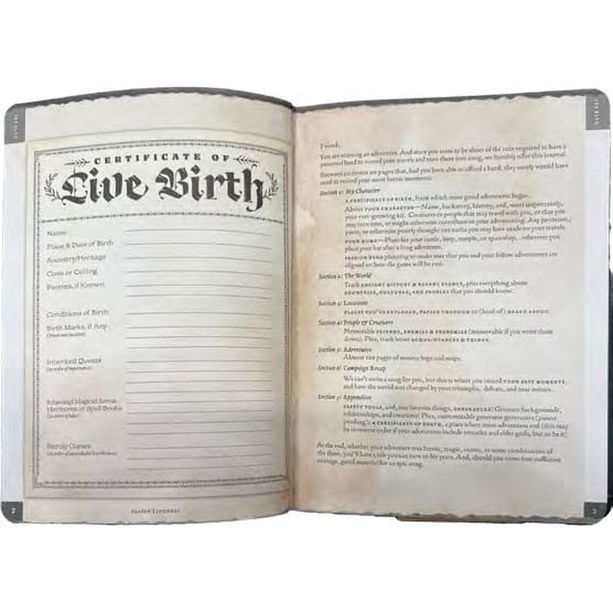 Productafbeelding Notitieboek A5 Player's Journal