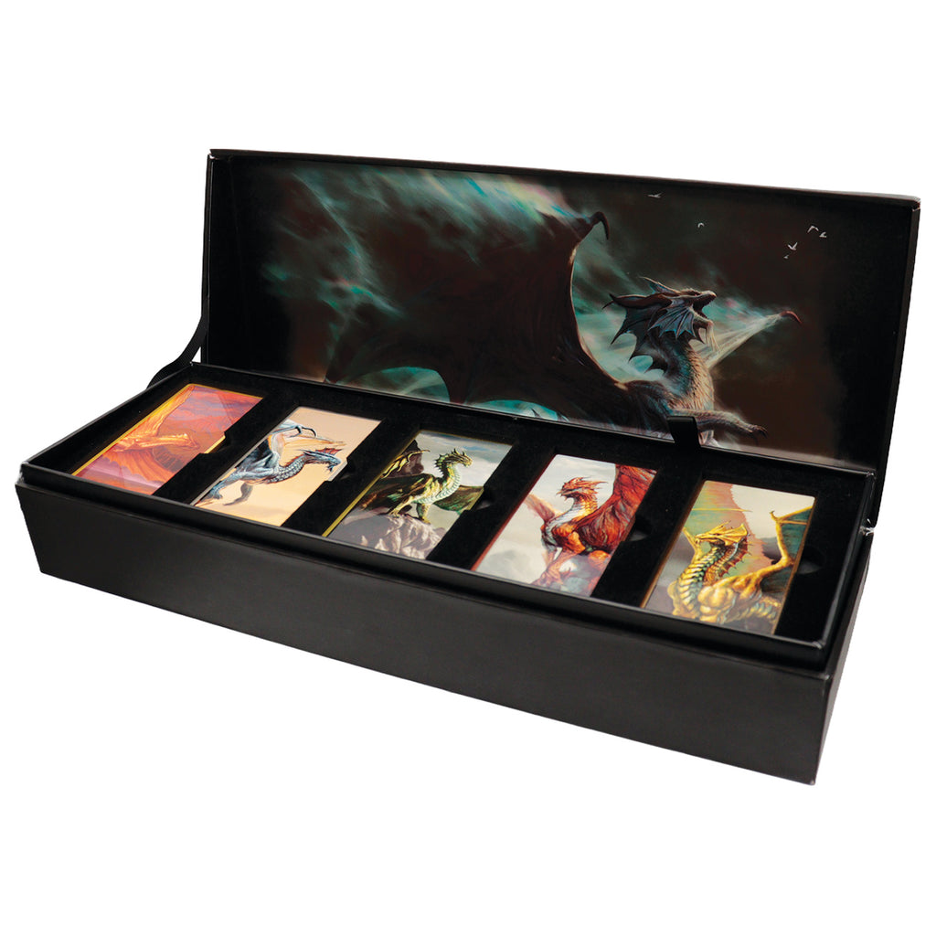 Productafbeelding Dungeons & Dragons - Magnetenset in geschenkdoos