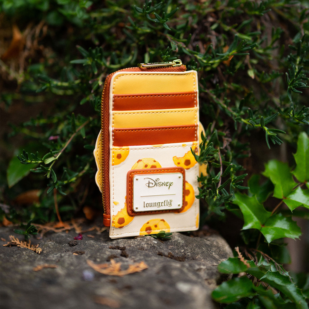 Productafbeelding Rapunzel – Pascal Kaartenhouder