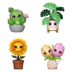 Productafbeelding Flora POP! Vinyl Figuren Flora Black Friday 4-Pack 9 cm